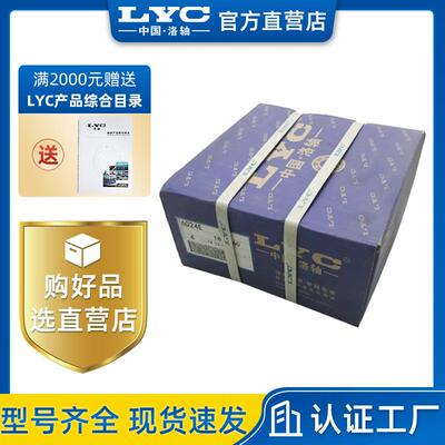 洛阳铁路圆柱滚子轴承NJP3226X1深沟球轴承配件现货高碳铬钢