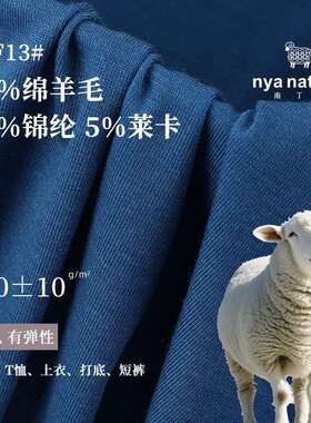 150G澳洲美利奴羊毛纤维汗布美丽诺羊毛锦纶莱卡薄料手感柔糯布料