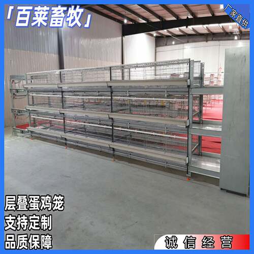 小层叠蛋鸡笼坚固耐用，防锈防腐，为鸡提供舒适空间