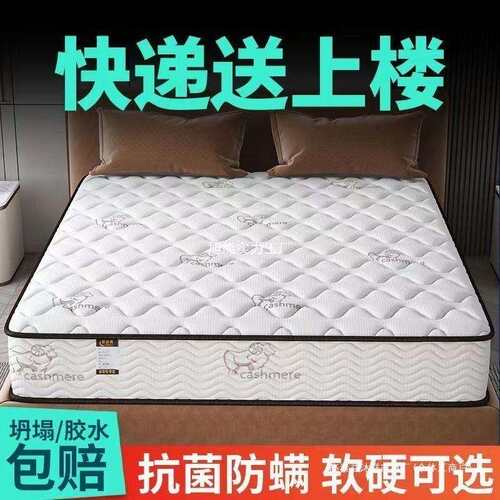 厚家用床930椰垫卧室经济型20C加弹簧垫出租屋乳胶垫棕M软硬两用