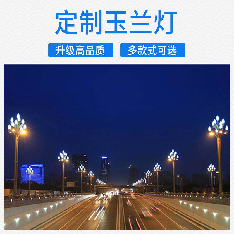 厂家直售中华灯 户外道路景观照明市电路灯 防水LED玉兰灯景观灯