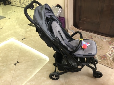 打听下SilverCross婴儿推车哪款好?Wing和Pioneer区别在哪里?