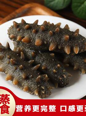 大连冷蒸鲜食即食海参500g深海底播野生辽刺参劲道孕妇散装非淡干