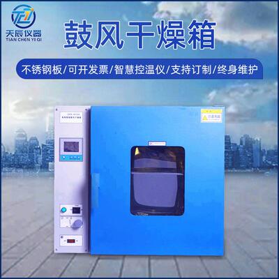 不锈钢电热恒温鼓风干燥箱工业高温烘烤箱实验室小型烘干箱设备