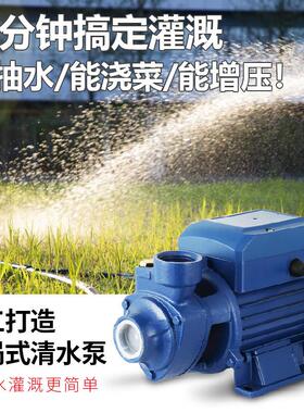 QB60自吸泵高扬程漩涡自吸泵220V自来水增压泵井水太阳能循环泵