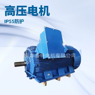 出口三相异步电机双轴伸Y3-400-4/600W，3300V50Hz1500转