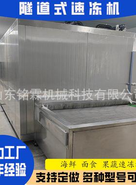 商用乳制品速冻机芋头水饺隧道速冻流水线海鲜秋葵保鲜速冻设备