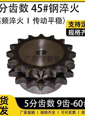 适用5分双排45号钢带台链轮标准双排08B10A12A齿轮链轮加工非标定