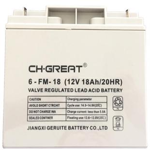 CH.GREAT蓄电池6 18耐腐蚀免维护型广播电视行业应急后备电 GFM