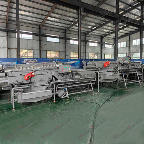 多功能蔬菜清洗机 龙须菜海带涡流清洗机 高压气泡翻浪清洗机