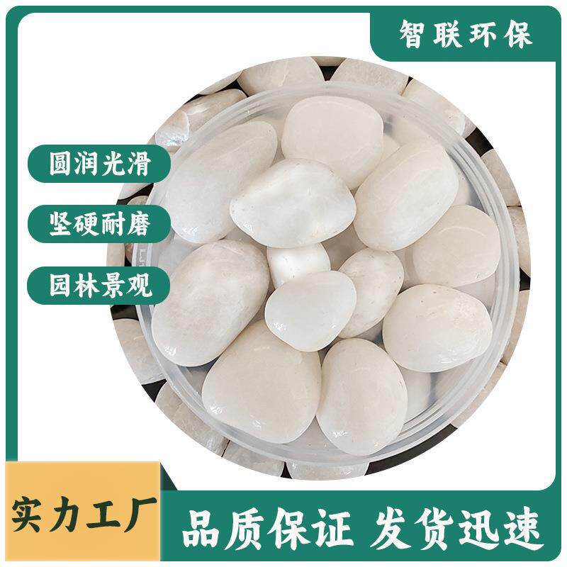 白色石子精抛鹅卵石庭院铺路造景水洗石雨花石鱼缸铺面水培白石子