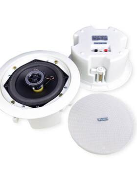 flykace CLS-717同轴吸顶喇叭 20W天花喇叭 20瓦吊顶音箱