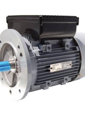 YL8022|单相1.1W电动机|2极|转速2800rpm|双值电容