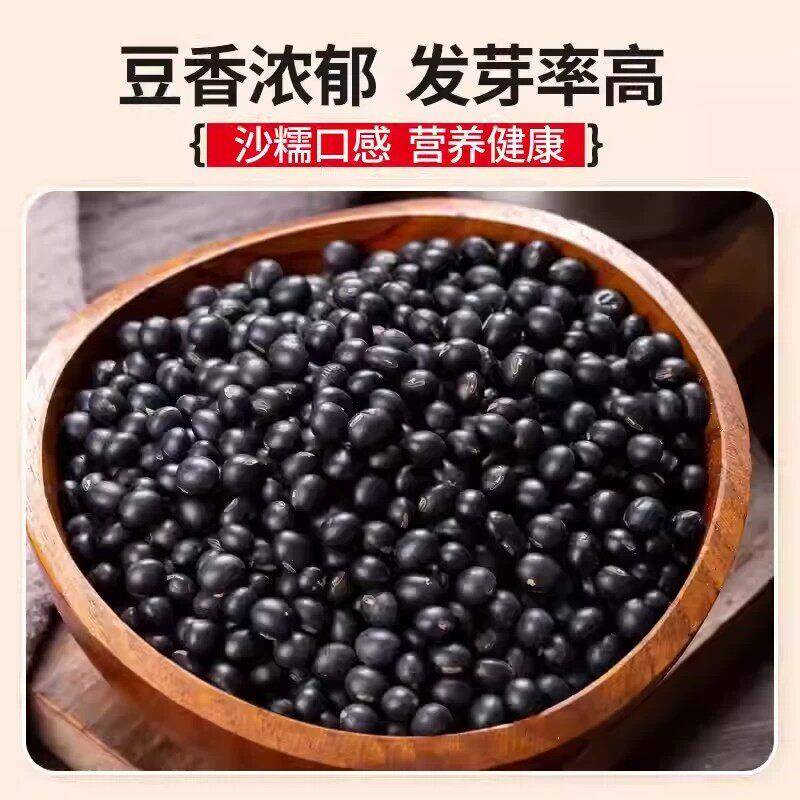 东北5斤黄芯黑豆农家自种黑豆打豆浆专用小黑豆食用杂粮乌豆新货