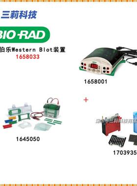 伯乐电泳仪 小型垂直电泳转印系统 1658033蛋白电泳三件套