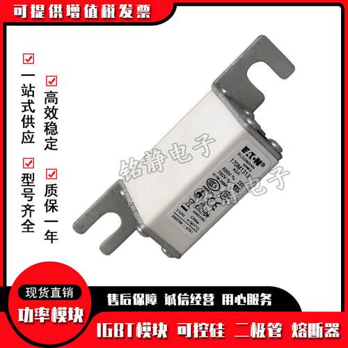 巴斯曼熔断器170M1313 170M1314 170M1315 170M1316 170M1317现货