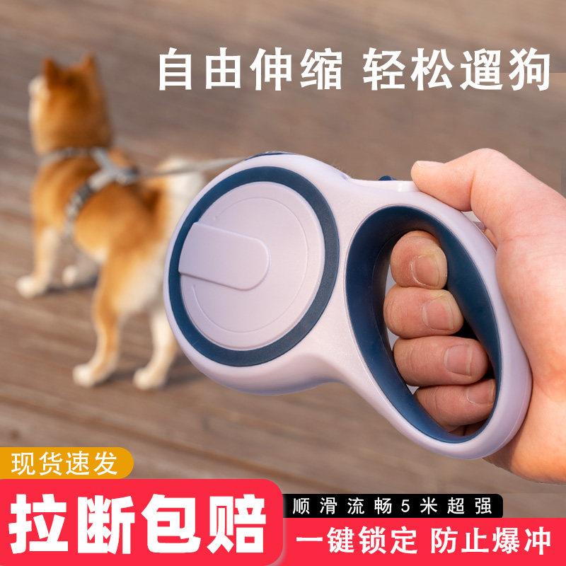 狗狗牵引绳自动可伸缩牵狗绳子宠物中小型犬泰迪柯基柴犬遛狗炼