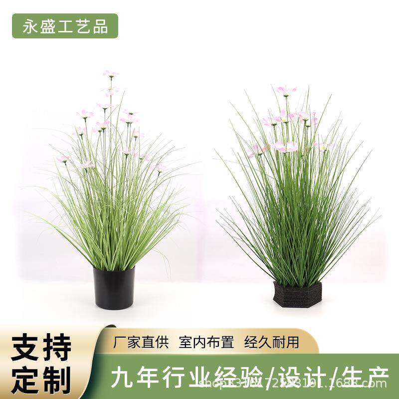 北欧芦苇草格桑花草植物室内装饰干花落地绿植