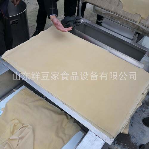 山东厂家豆腐皮机 配套设备切丝机器 豆皮机不锈钢全自动技术厂家