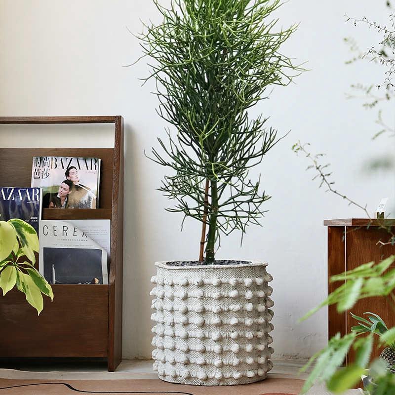 大号水泥仿古圆点突起创意花盆混凝土做旧复古小众设计感盆景盆