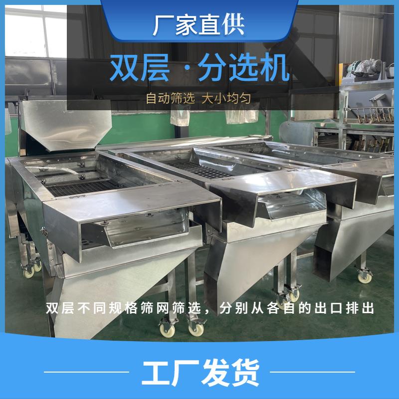 香菇木耳桃胶筛选机产品震动分级农产品传送选菇台大枣食品传送带