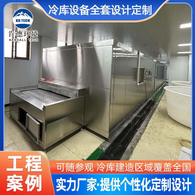 海鲜水产连续式隧道速冻机蓝莓黄桃秋葵香菇果蔬低温速冻流水设备