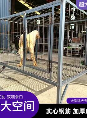 &狗笼中大型犬实心钢筋金毛马犬防撞咬狗笼狗场养殖基地特价包邮