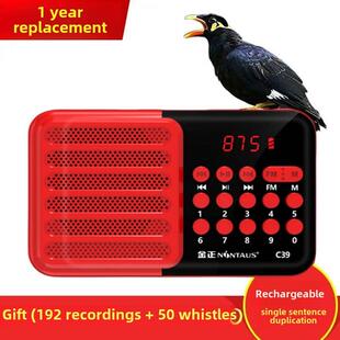 鹦鹉学习说话机器教学Myna说话重覆播放录音鸟重覆机器训练说话