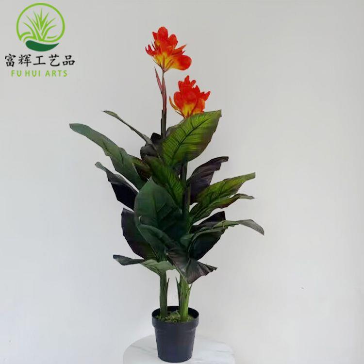 仿真绿美鹤人植蕉红美人望兰大型091栽造景组合景观盆装饰摆件