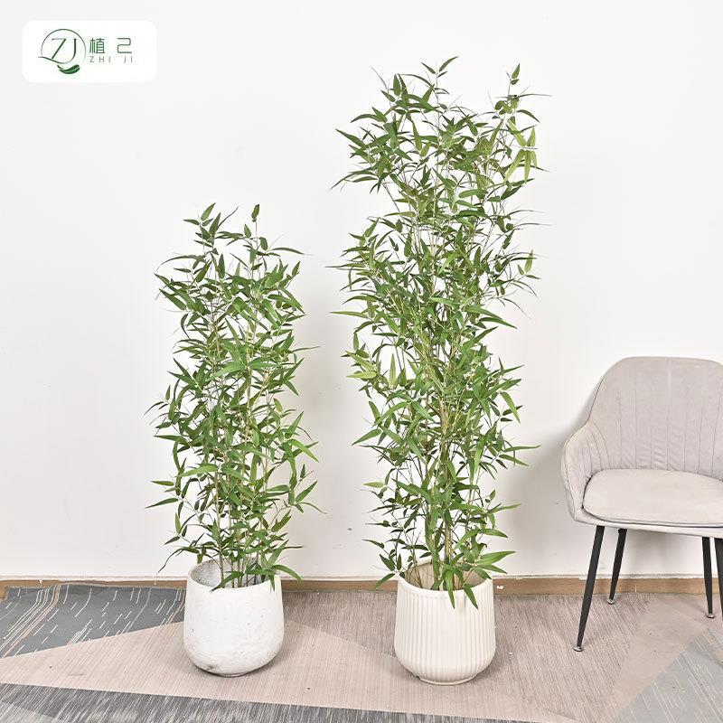 仿生绿植竹子装饰树家居客厅茶室新中式假竹子植物盆栽造景摆件