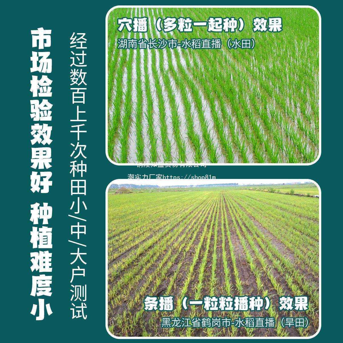 新款水稻播种机直播机多功能高精度点播机穴播机粒数可调插秧机
