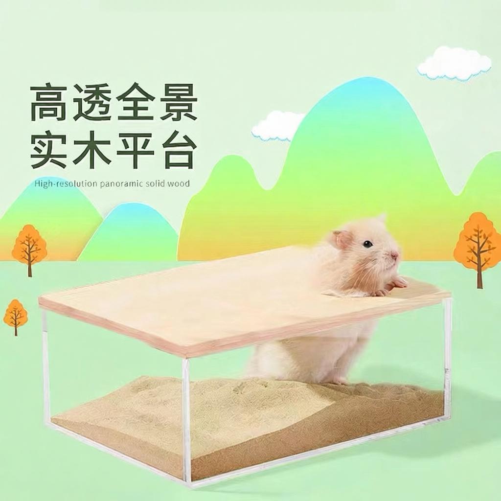金丝熊大号透明透明仓鼠造景装饰