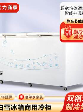 白雪冰箱商用冷柜BD/C-606FD家用小型卧式冰柜超市顶开门冷藏柜