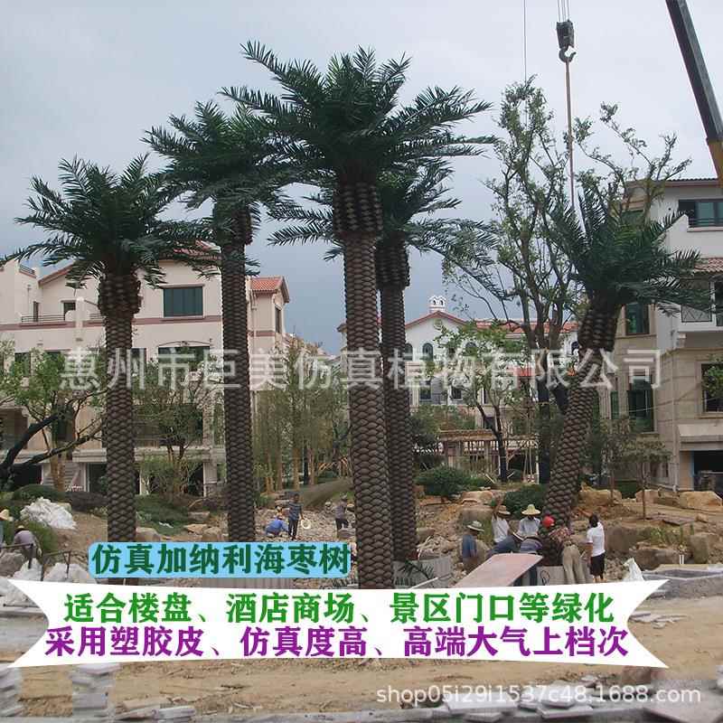 仿真海枣树塑胶皮中东海藻树人造仿生加拿利海藻树工程绿化假大树