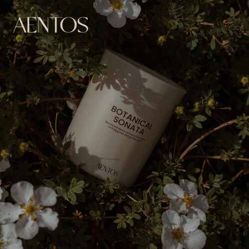 AENTOS香薰蜡烛200g大豆蜡家用室内香氛助眠小众礼盒安神生日礼物
