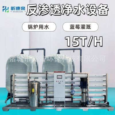 15T反渗透净水设备精确度0.0001微米去除水中的细菌有机物杂质等