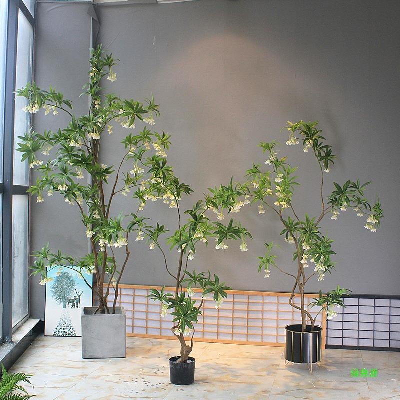 石榕大客厅店铺花艺物水装饰树绿植茶室酒店落地名宿橱窗