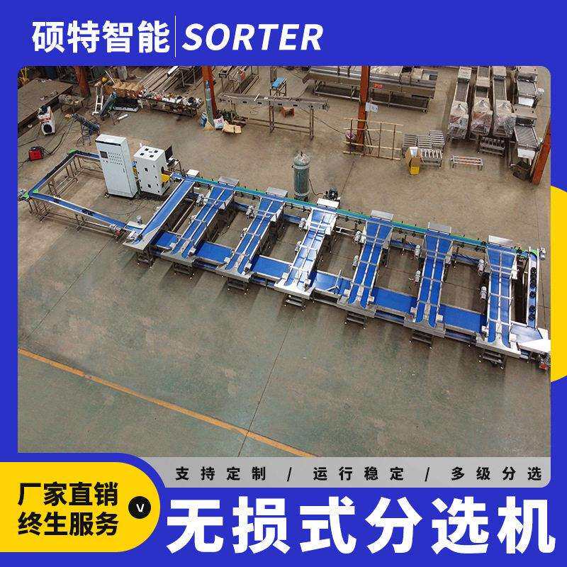 蜜瓜香瓜呵福式选果机苹果梨无损内部检测分选机石榴重量分拣机
