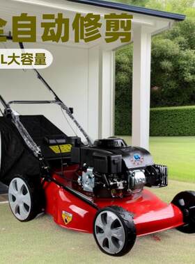 斯诺供应四冲程汽油草坪机手推式自走式绿化公园除草草坪修剪机