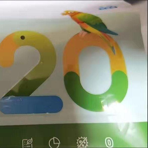 顶制全价鹦鹉食粮虎皮玄风牡丹中小型鸟粮饲料五色黍子带壳混合粮