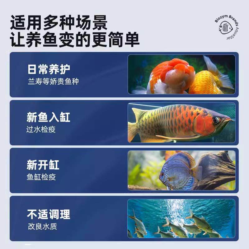 百因美1号观赏鱼护理烂身烂尾烂肉综合调理专用锦鲤龙鱼开缸养水