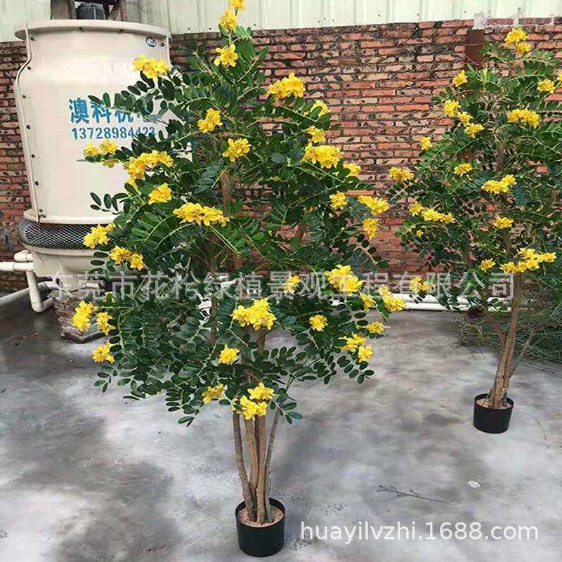 仿真外贸小榕叶盆栽 仿真榕树盆栽景 酒店家居客厅装饰 厂家