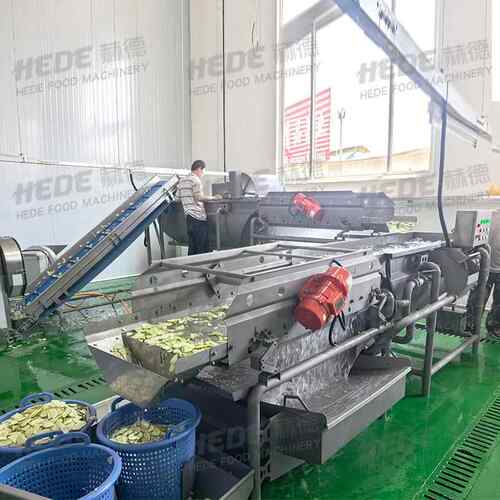 现货涡流振动清洗机 全套净菜加工流水线 免洗梅干菜旋流清洗机