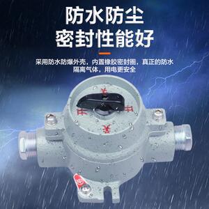 升羿SE220W防爆单联开关SW-10/380隔爆型转换照明开关防爆灯标配