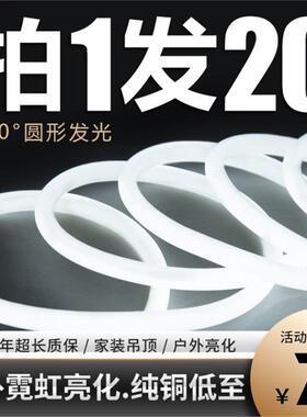灯带led灯条220v圆形白光灯带条户外防水广告招牌超亮线灯