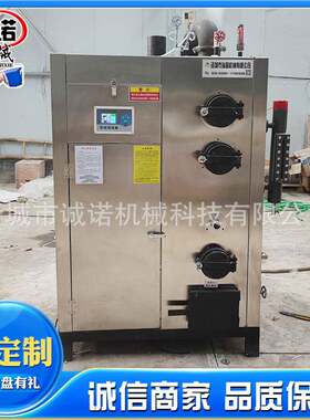 花房取暖蒸汽机水泥桥梁养护蒸汽锅炉燃烧生物质颗粒蒸汽发生器