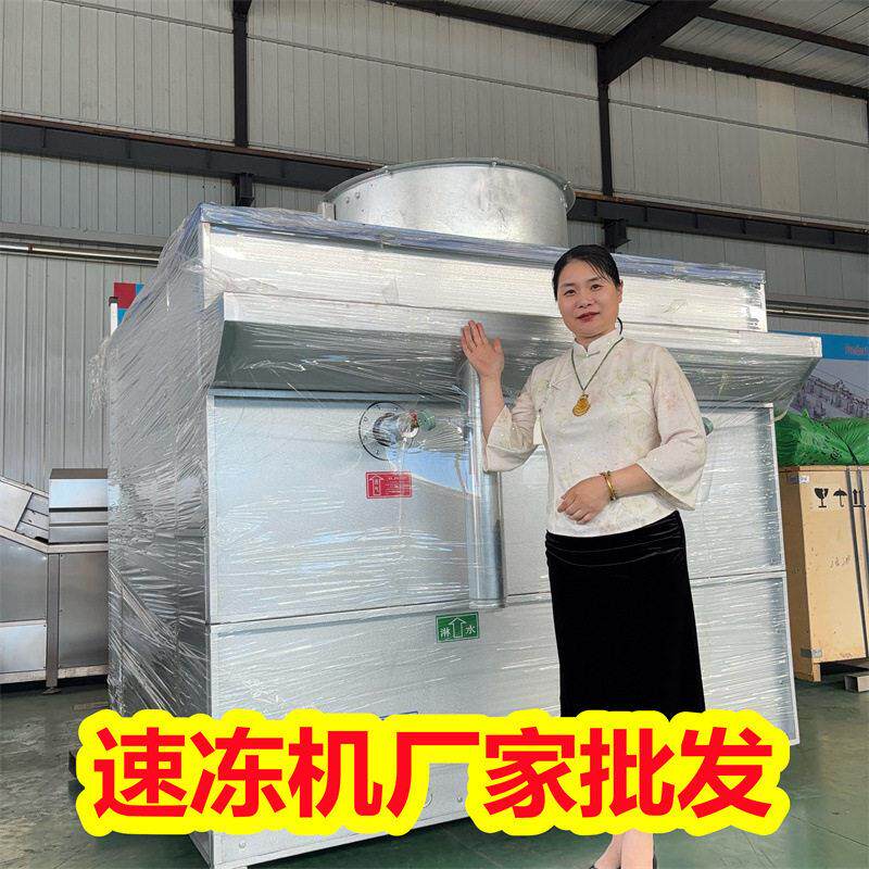 调理猪牛羊肉串速冻机 网带速冻机组 烧烤食材批量速冻成套设备