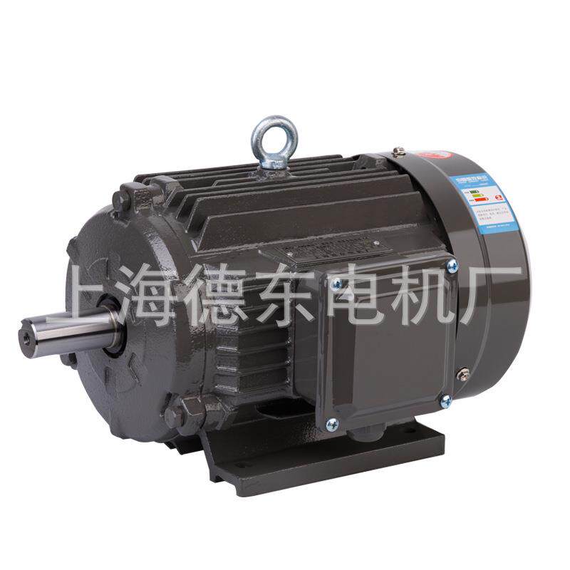 上海德东 YE2 YE3 112M-4 4KW 三相异步电动机 马达