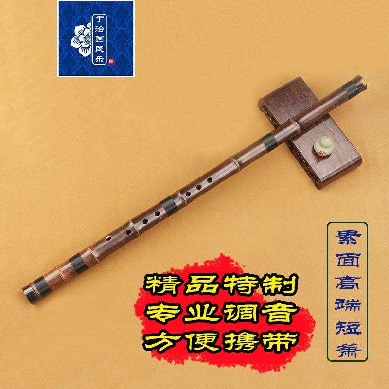 丁治国乐器特制演奏级专业洞箫6孔8孔GFED调紫竹 短萧 包邮