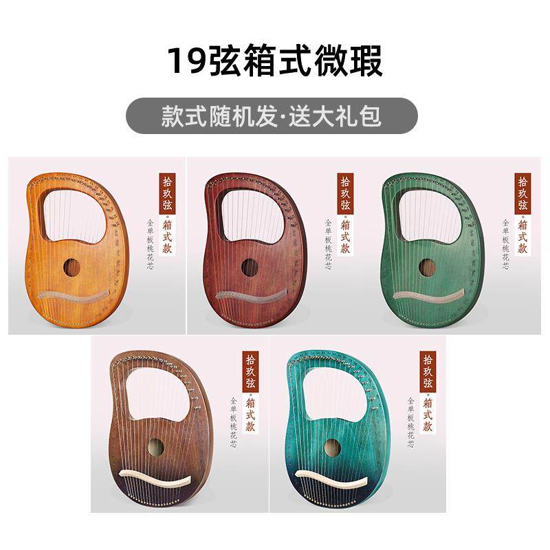 高档琴小竖19便携式莱雅弦琴男女初学者116弦小众乐器2弦里拉琴ly